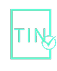 TIN matching